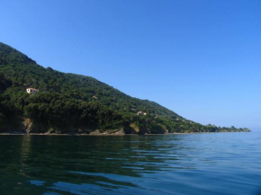 Hotels in Castellabate